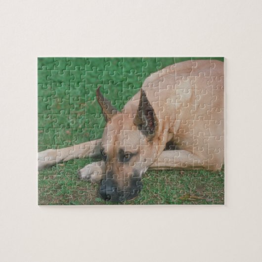 Kitz-Dogge-Hundepuzzlespiel Puzzle (Horizontal)