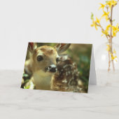 Kitz-Gruß-Karten Karte (Gelbe Blume)