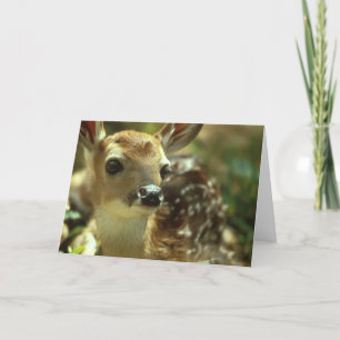 Kitz-Gruß-Karten Karte