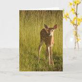 Kitz-Gruß-Karten-Nr. 5 Karte (Gelbe Blume)