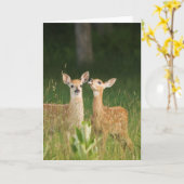 Kitz-Gruß-Karten-Nr. 6 Karte (Gelbe Blume)