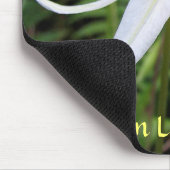 Kitz-Lilie Mousepad (Ecke)