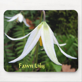 Kitz-Lilie Mousepad