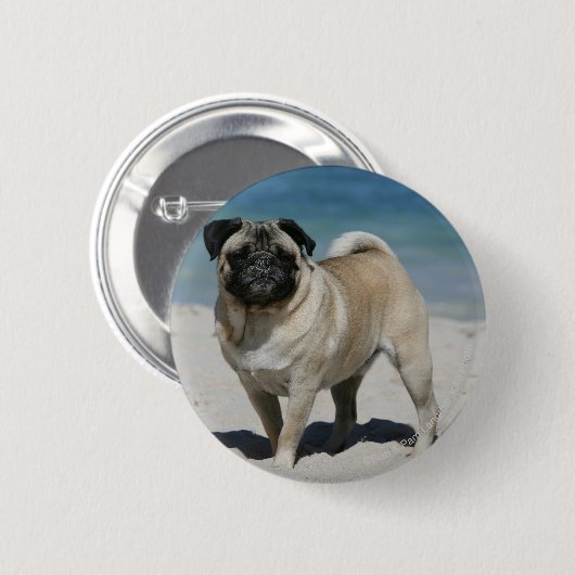Kitz-Mops am Strand Button (Vorne & Hinten)