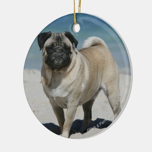 Kitz-Mops am Strand Keramik Ornament (Links)