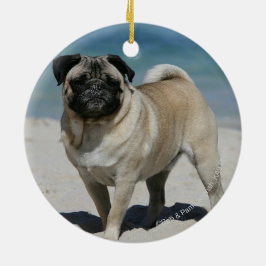 Kitz-Mops am Strand Keramik Ornament (Hinten)