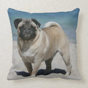 Kitz-Mops am Strand Kissen