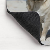 Kitz-Mops am Strand Mousepad (Ecke)
