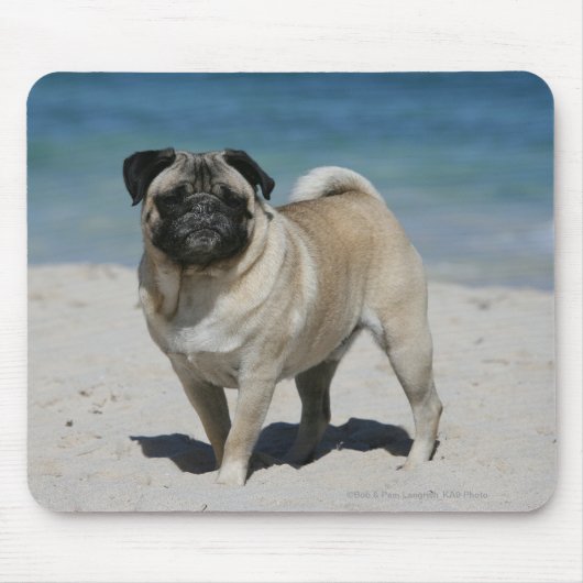 Kitz-Mops am Strand Mousepad (Vorne)