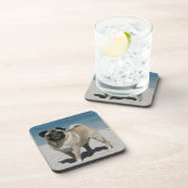 Kitz-Mops am Strand Untersetzer (Rechte Seite)