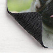 Kitz-Mops auf Alarm Mousepad (Ecke)