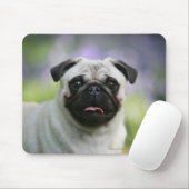 Kitz-Mops auf Alarm Mousepad (Mit Mouse)