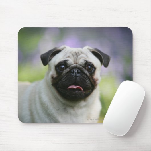 Kitz-Mops auf Alarm Mousepad (Mit Mouse)