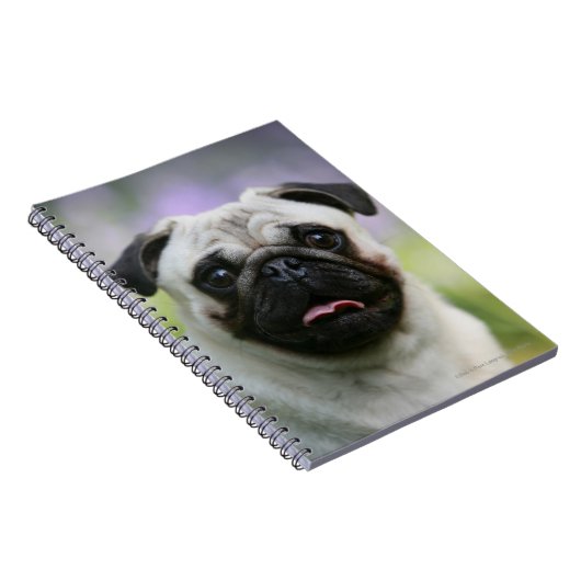 Kitz-Mops auf Alarm Notizblock (Rechte Seite)