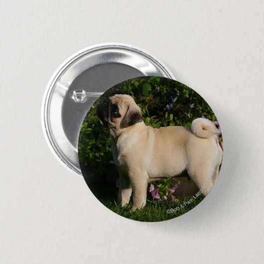 Kitz-Mops-Profil Button (Vorne & Hinten)