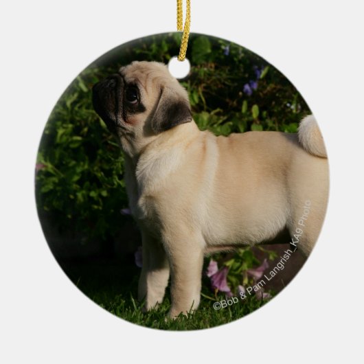 Kitz-Mops-Profil Keramik Ornament (Vorne)