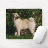 Kitz-Mops-Profil Mousepad (Mit Mouse)