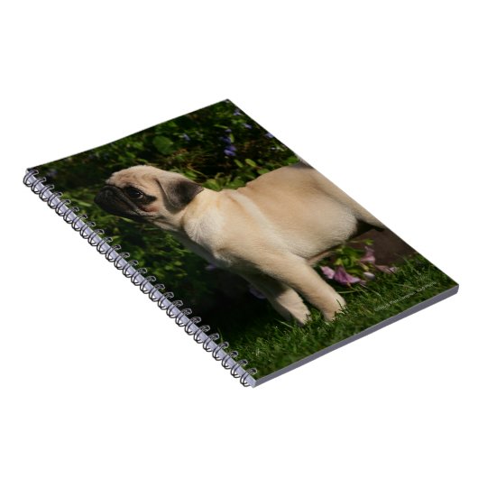 Kitz-Mops-Profil Notizblock (Rechte Seite)