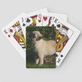 Kitz-Mops-Profil Spielkarten (Rückseite)