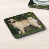 Kitz-Mops-Profil Untersetzer (Linke Seite)