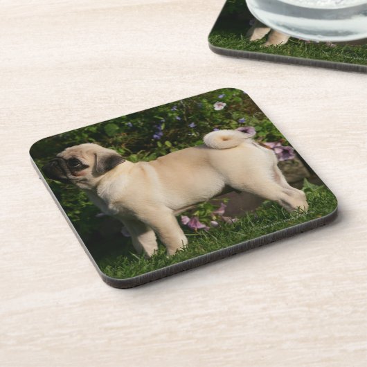 Kitz-Mops-Profil Untersetzer (Linke Seite)