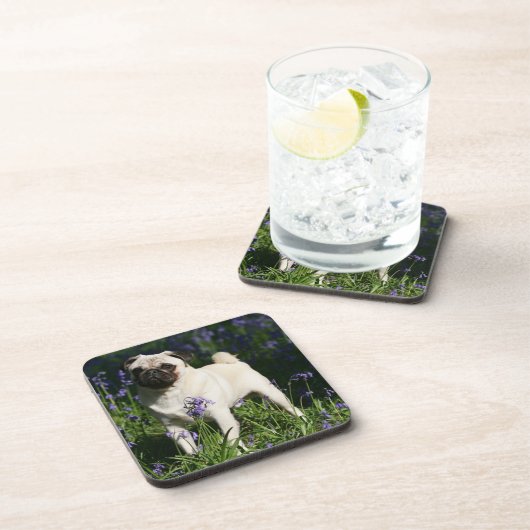 Kitz-Mops stehend in den Bluebells Getränkeuntersetzer (Rechte Seite)