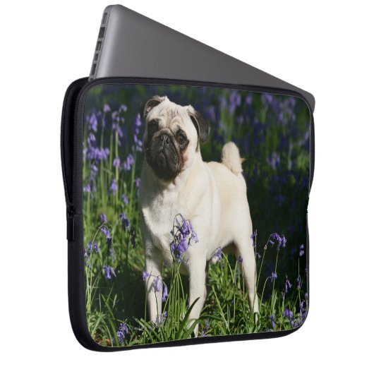Kitz-Mops stehend in den Bluebells Laptopschutzhülle (Vorne Rechts)