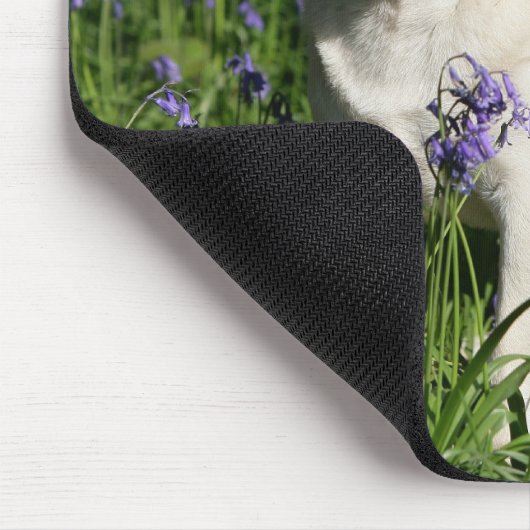Kitz-Mops stehend in den Bluebells Mousepad (Ecke)