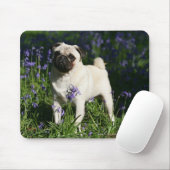 Kitz-Mops stehend in den Bluebells Mousepad (Mit Mouse)