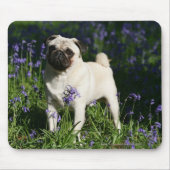 Kitz-Mops stehend in den Bluebells Mousepad (Vorne)