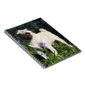 Kitz-Mops stehend in den Bluebells Notizblock (Rechte Seite)