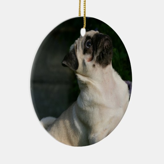 Kitz-Mops-Welpe Keramikornament (Rechts)