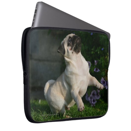 Kitz-Mops-Welpe Laptopschutzhülle (Vorne Rechts)