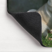 Kitz-Mops-Welpe Mousepad (Ecke)