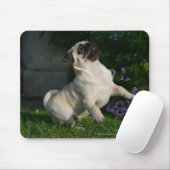 Kitz-Mops-Welpe Mousepad (Mit Mouse)