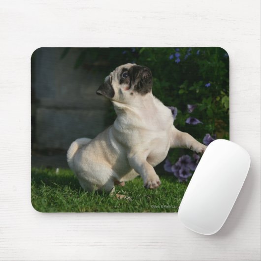 Kitz-Mops-Welpe Mousepad (Mit Mouse)