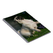 Kitz-Mops-Welpe Notizblock (Rechte Seite)