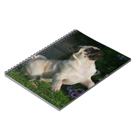 Kitz-Mops-Welpe Notizblock (Linke Seite)