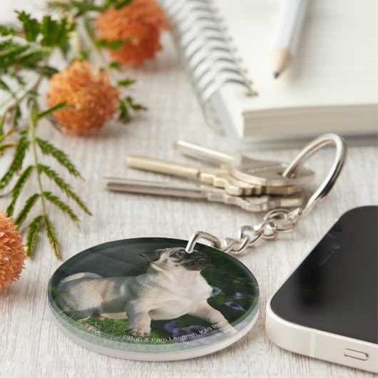 Kitz-Mops-Welpe Schlüsselanhänger (Vorderseite rechts)