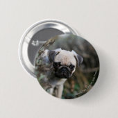 Kitz-Mops-WelpeHeadshot Button (Vorne & Hinten)