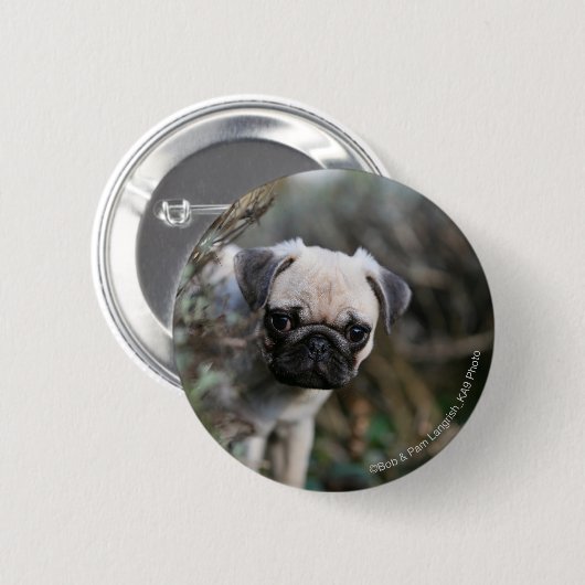 Kitz-Mops-WelpeHeadshot Button (Vorne & Hinten)