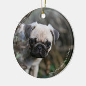 Kitz-Mops-WelpeHeadshot Keramik Ornament (Links)