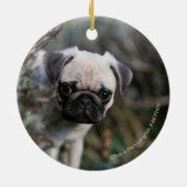 Kitz-Mops-WelpeHeadshot Keramik Ornament (Hinten)