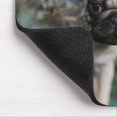 Kitz-Mops-WelpeHeadshot Mousepad (Ecke)