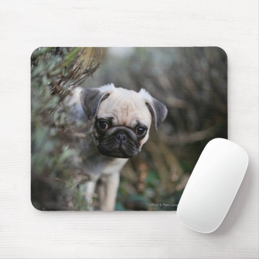 Kitz-Mops-WelpeHeadshot Mousepad (Mit Mouse)