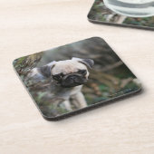 Kitz-Mops-WelpeHeadshot Untersetzer (Linke Seite)