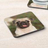 Kitz-Mops-Welpen-Keuchen Getränkeuntersetzer (Linke Seite)