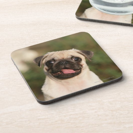 Kitz-Mops-Welpen-Keuchen Getränkeuntersetzer (Linke Seite)