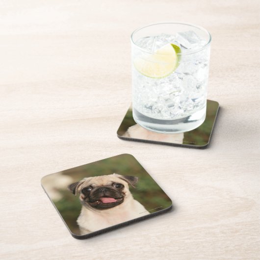 Kitz-Mops-Welpen-Keuchen Getränkeuntersetzer (Rechte Seite)