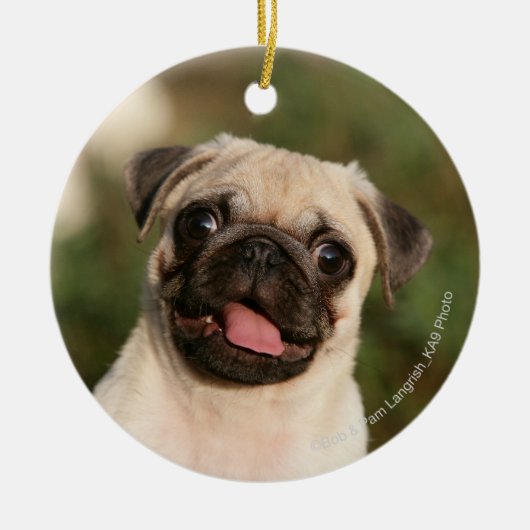 Kitz-Mops-Welpen-Keuchen Keramik Ornament (Vorne)
